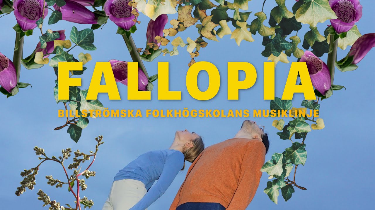 Fallopia