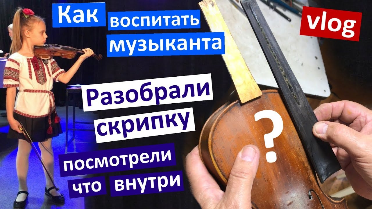 Vlog Разобрали скрипку - посмотрели, что внутри! Как воспитать музыканта? Лучшая игрушка Коли