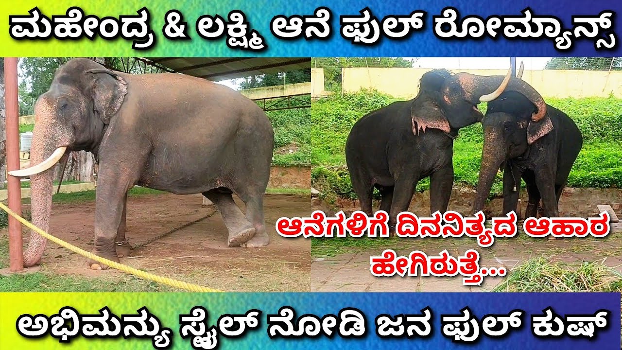 ಮಹೇಂದ್ರ & ಲಕ್ಷ್ಮಿ ಫುಲ್ ರೋಮ್ಯಾನ್ಸ್, ಅಭಿಮನ್ಯು ಸ್ಟೈಲ್ ನೋಡಿ... 