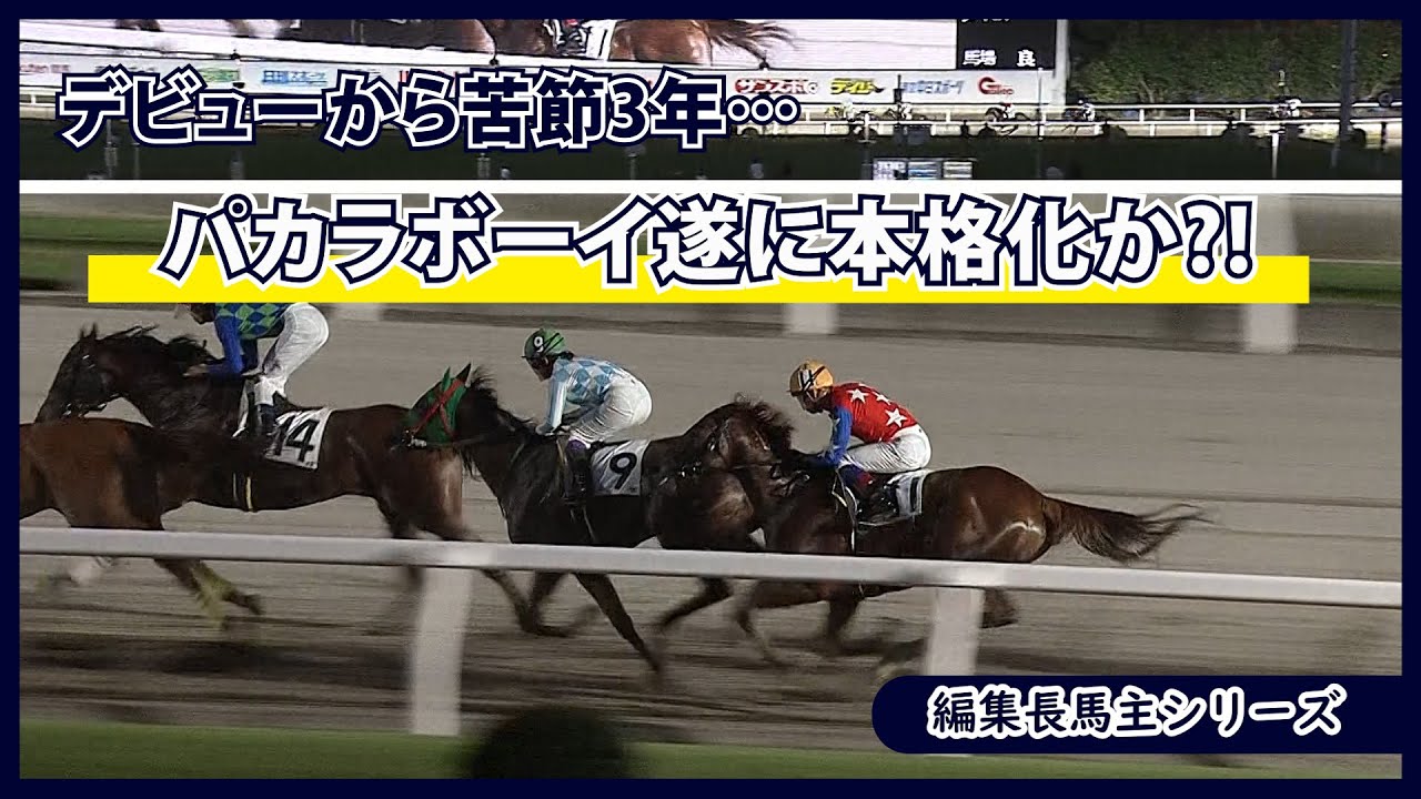 【編集長馬主になる！】#39 デビューから苦節3年...パカラボーイ遂に本格化か？！
