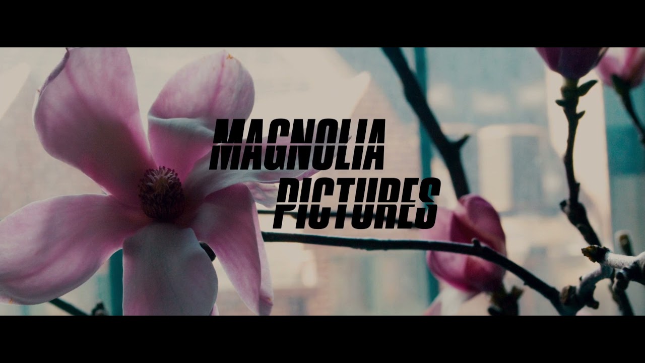 2929 Productions / Magnolia Pictures (The Girlfriend Experience)