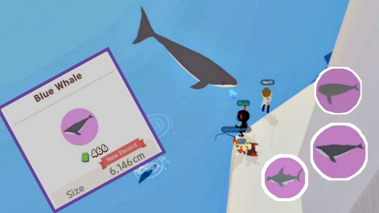 Play Together | Getting a Blue Whale🐳! (6,146 cm?)😰😱| bắt c&aacute; voi xanh | Blue Whale Time