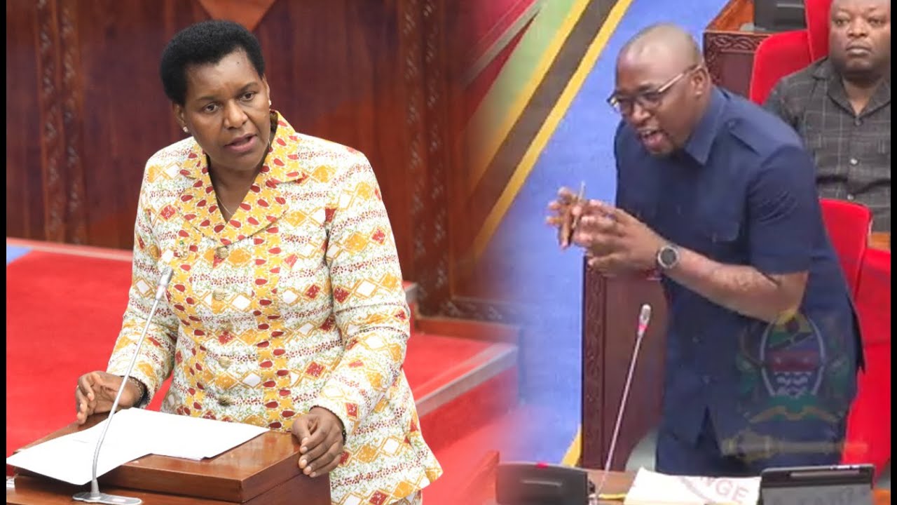 FESTO SANGA AMWAMBIA WAZIRI MABULA “UTAONDOKA KWENYE WIZARA HII, OKOA MAUAJI YANAYOENDELEA TANZANIA”