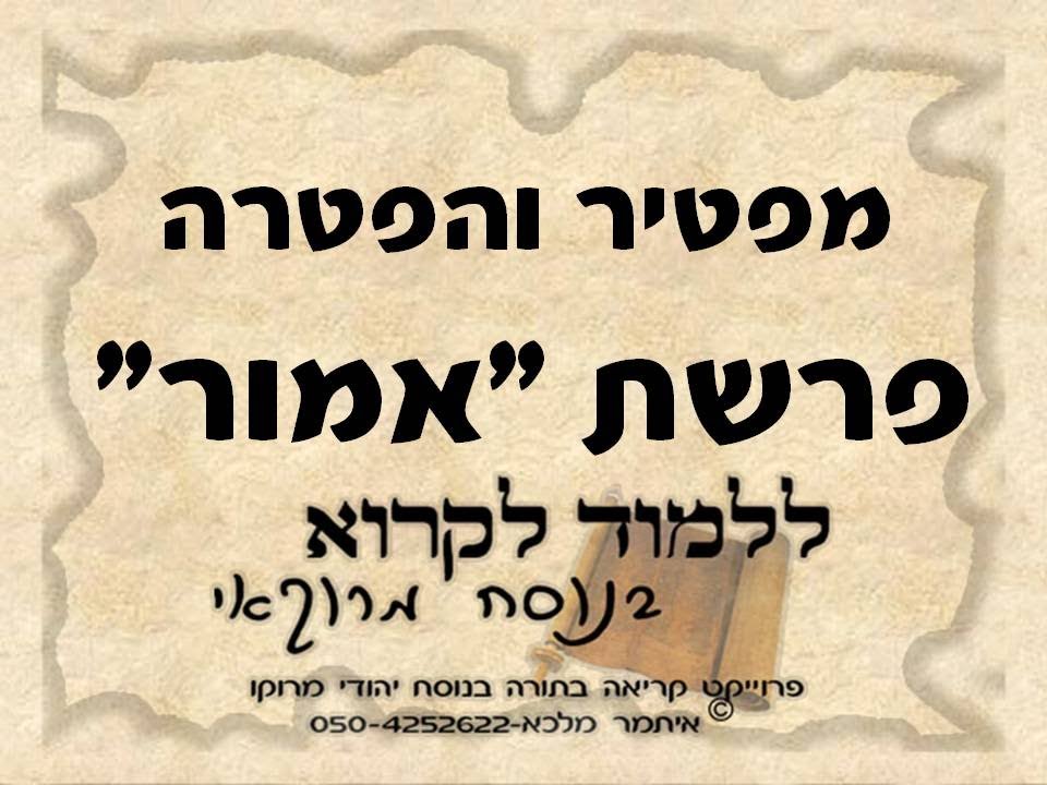 הפטרת אמור בנוסח יהודי מרוקו / Haftarah Haftorah Reading Emor
