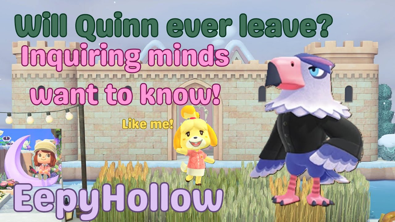 ACNH ~ EepyHollow ~ The journey away from Quinn, part 3746928