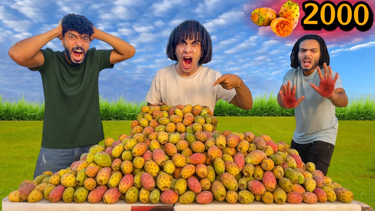 كلنا اكبر كميه تين شوكي في العالم بقشره 