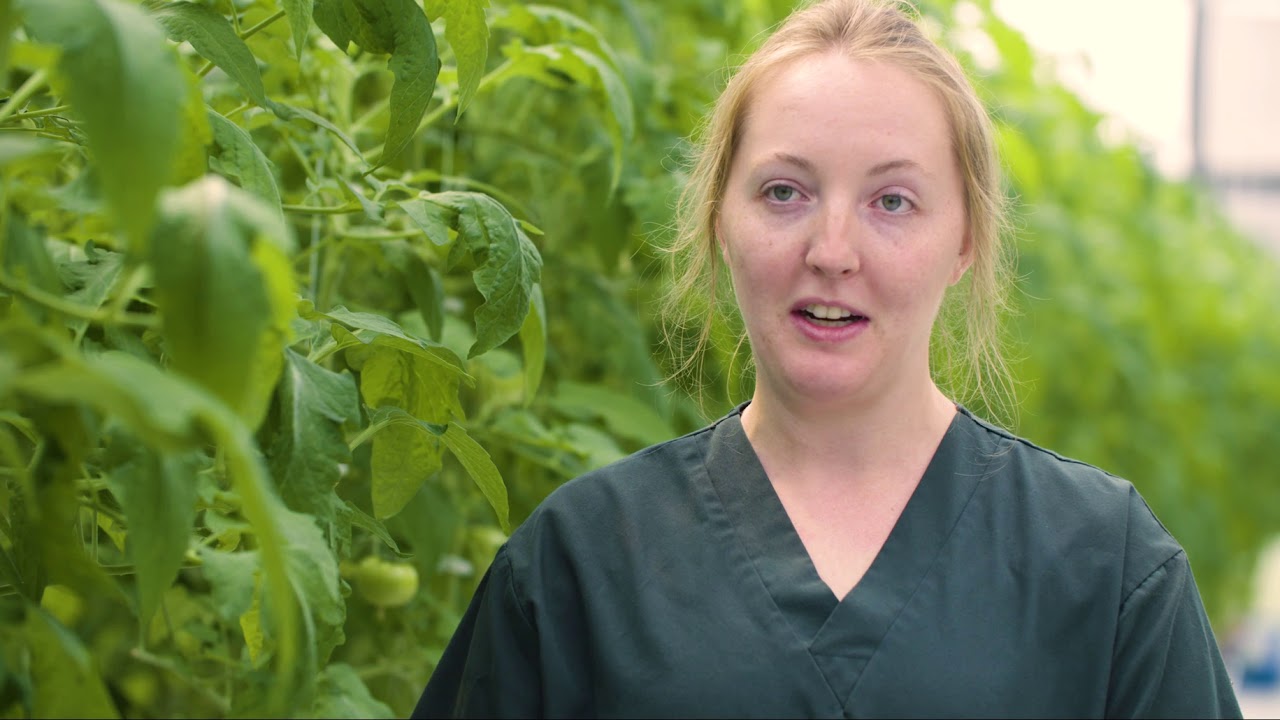 Integrated Pest Management Success Story -Streamline Farms