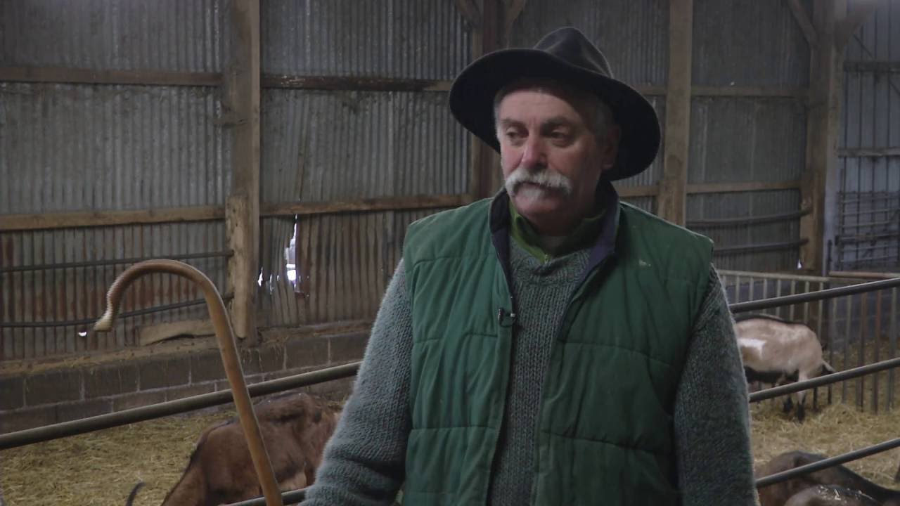 Bienvenue à la chèvrerie de Canaples