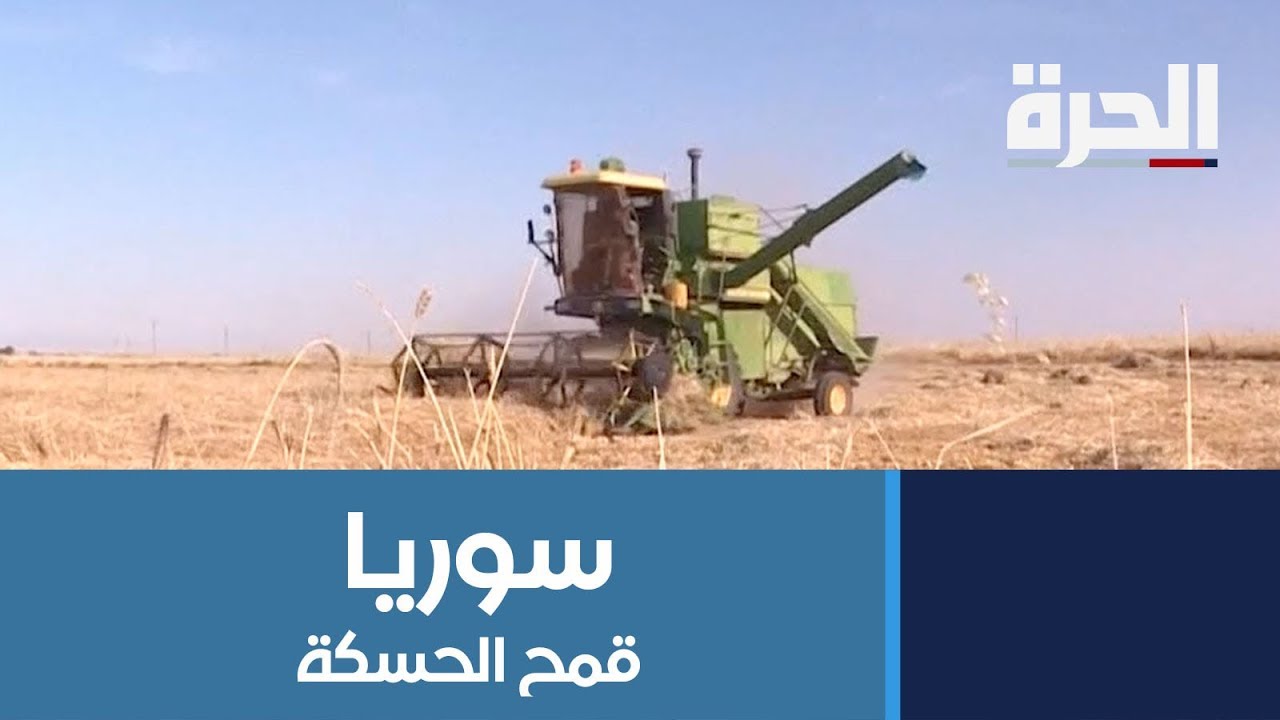 الإدارة الذاتية والحكومة تتصارعان على قمح الحسكة في #سوريا