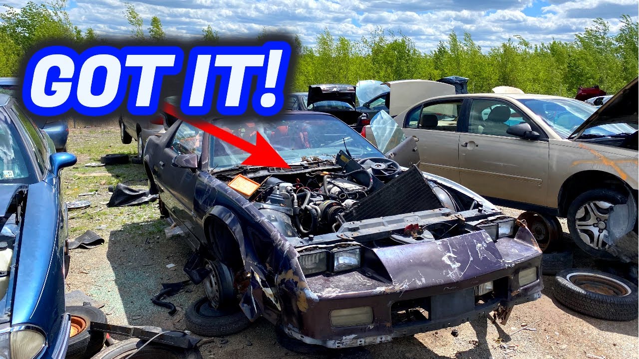 Wrapping up my Last OVERPRICED JUNKYARD Run! Harry's Hazleton 2/2