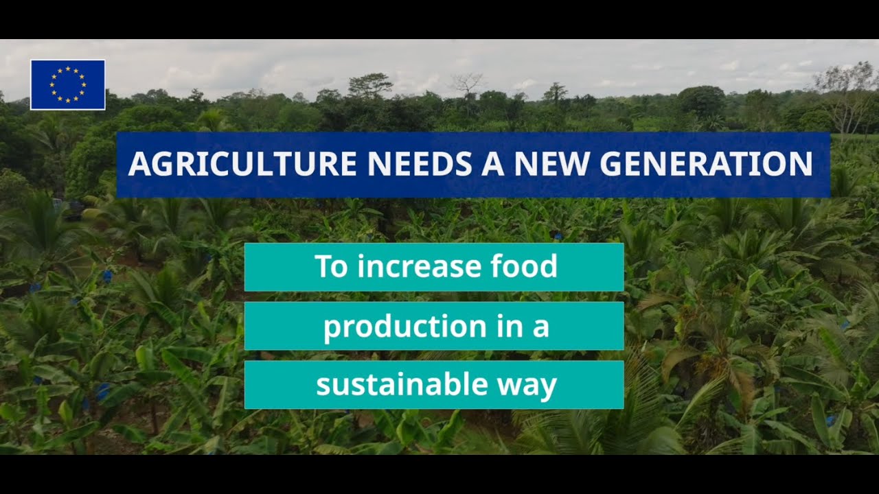 Cooperación en innovación agrícola y economía social: Caribe Oriental - España | FIAP