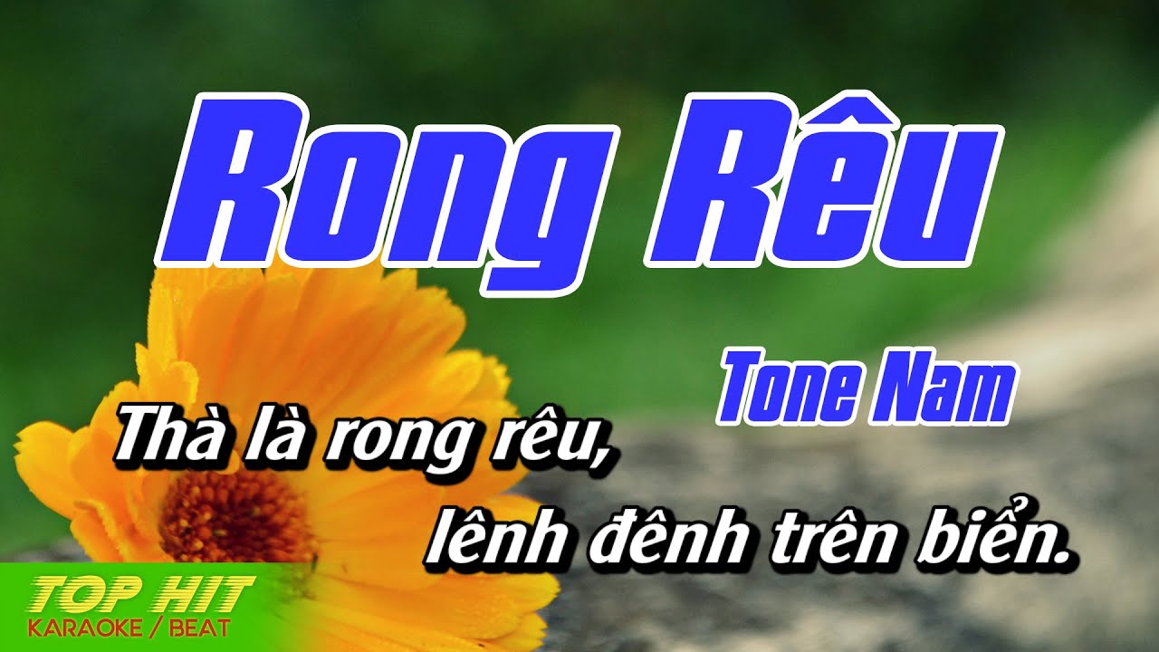 Rong Rêu Karaoke Tone Nam | Nhạc Sống Mới Dễ Hát TOP HIT KARAOKE