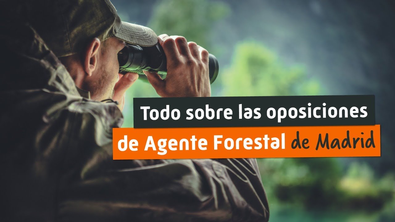 Cómo ser Agente Forestal 🌲 Estudios, Sueldo y Funciones