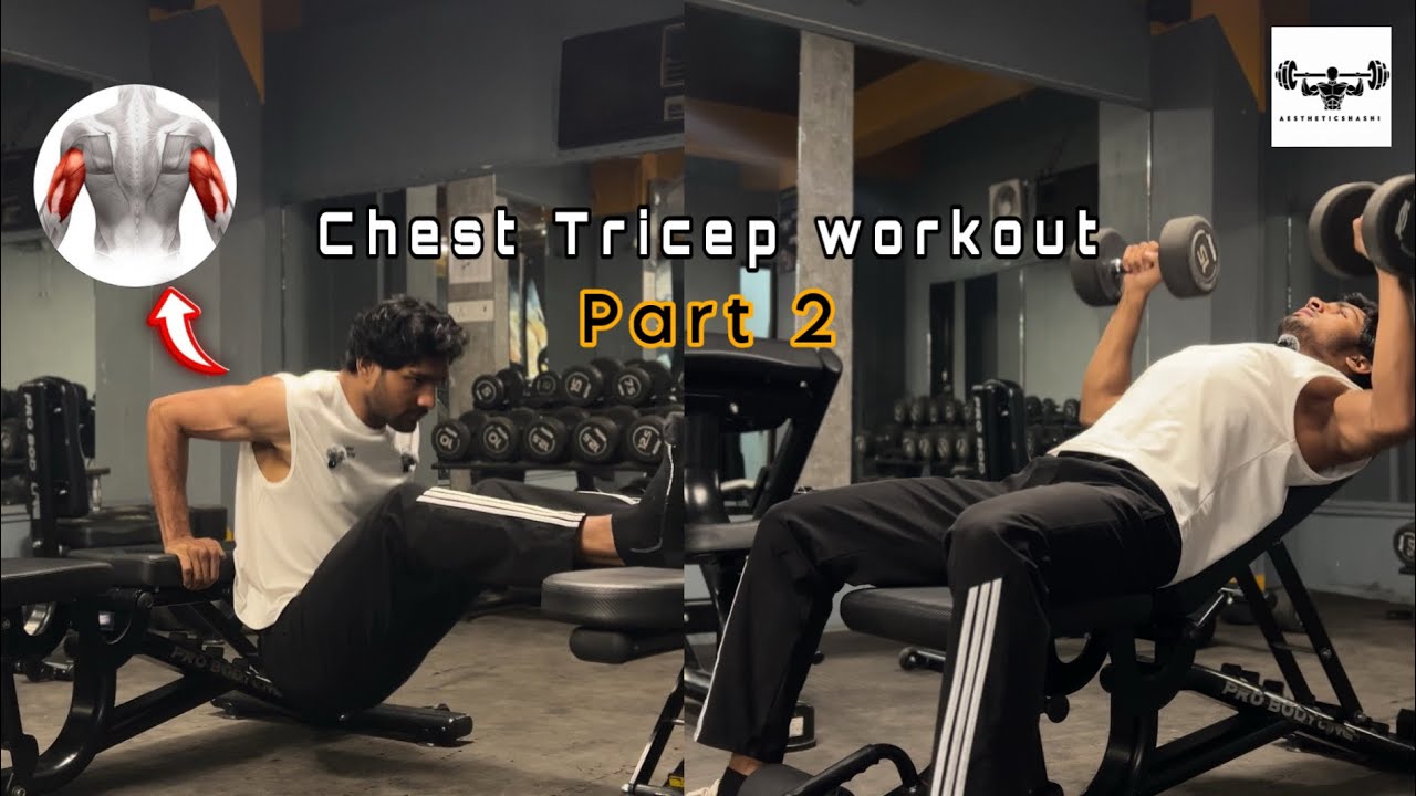 Chest and tricep workout | part - 2 | shashi kirar 
