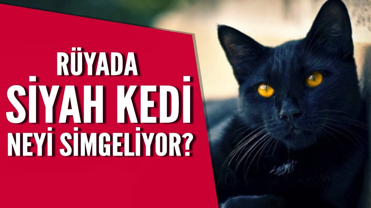 Rüyada siyah kedi görmek / Mehmet Emin Kırgil