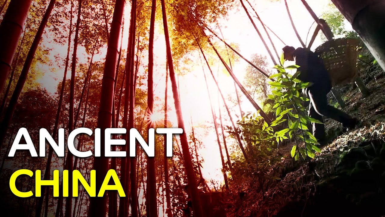 Bamboo and Silk: Harvesting China&rsquo;s Nature