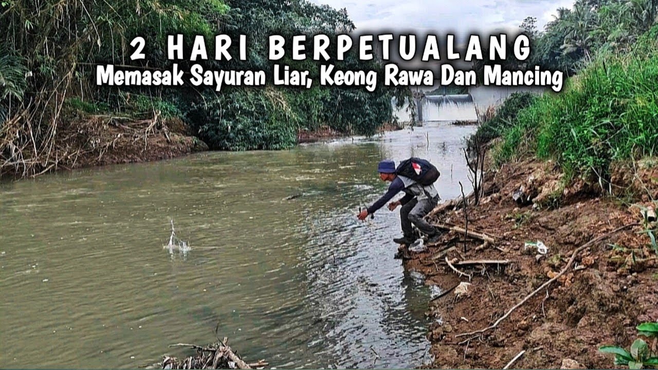 2 Hari Berpetualang, Memasak Sayuran, Mancing Ikan & Memasak Keong Rawa Kuah Kuning | Kang Kumang