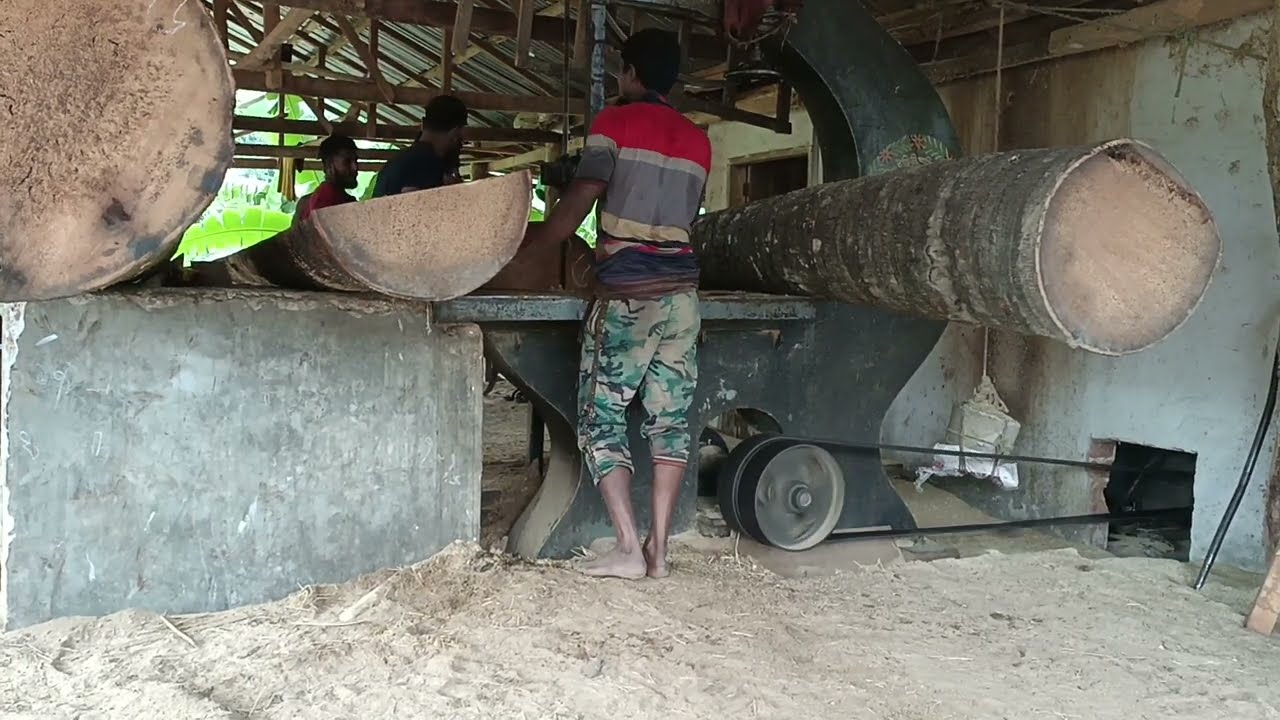 বাগেরহাট চুলকাটি বাজার বাংলাদেশের সবচেয়ে বড় তাল গাছ বাজার