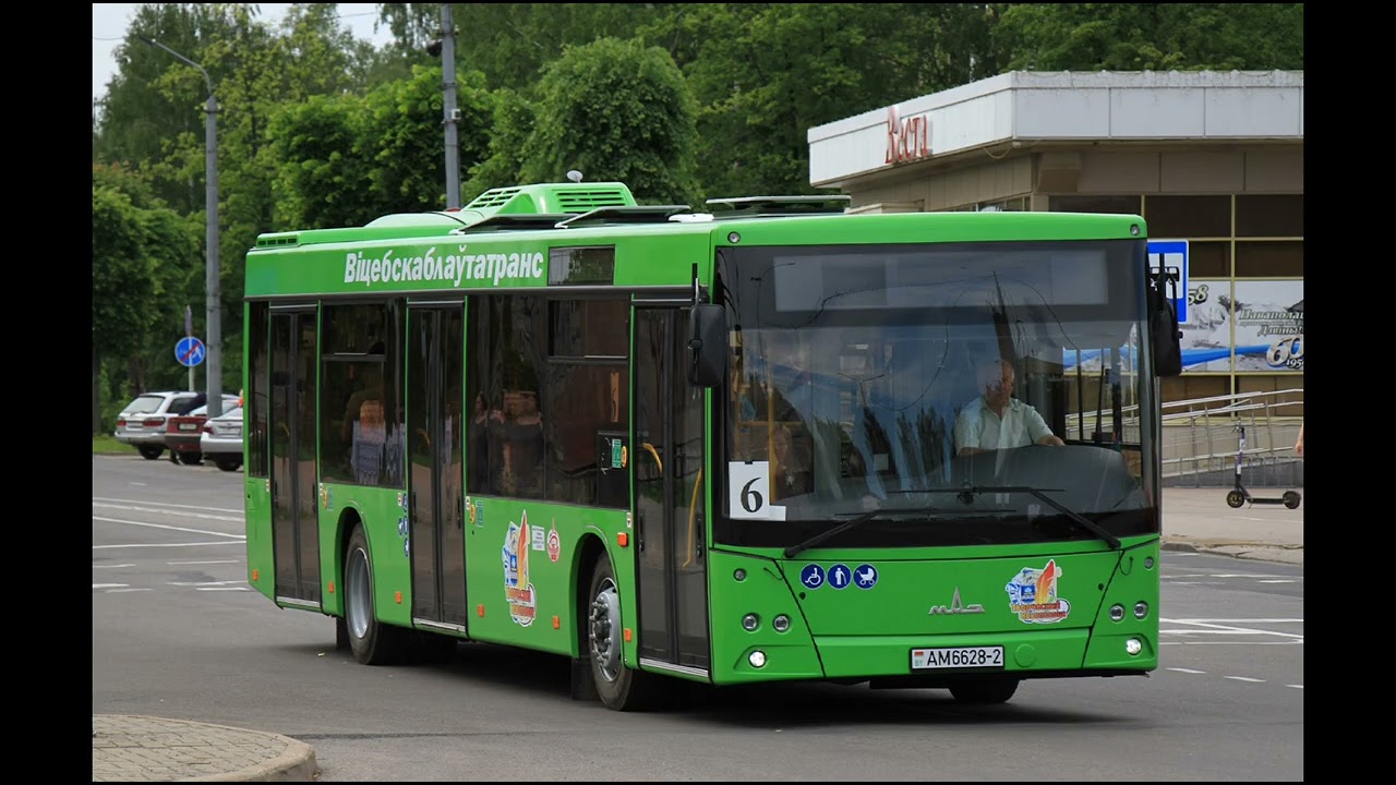 Автобусы МАЗ-203.047,и 203.147