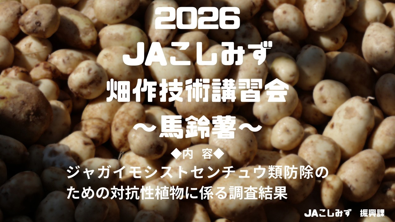 【馬鈴薯②】畑作技術講習会