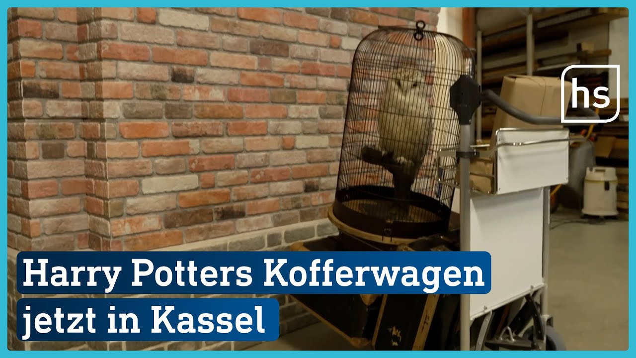 Von Kassel aus nach Hogwarts | hessenschau