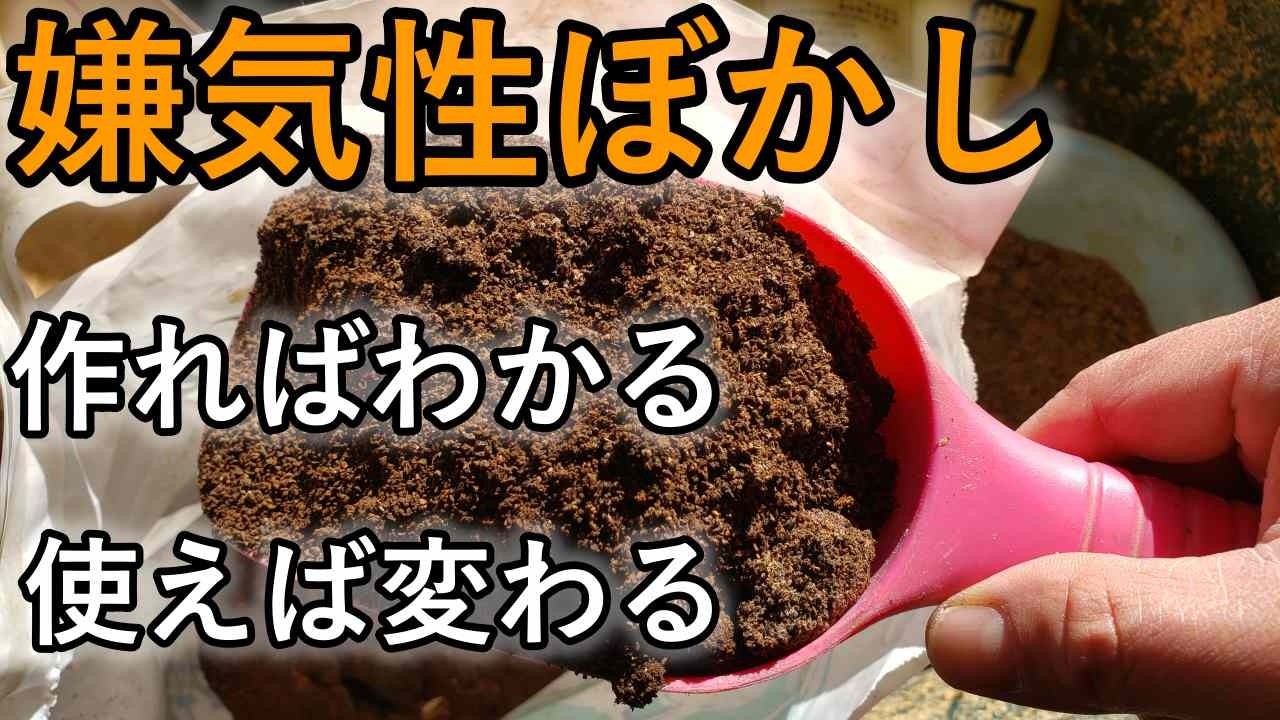 【2026 2】畑が劇的に変わる3つの資材｜嫌気性米糠発酵コーヒーかすぼかしにお使い方｜総集編!