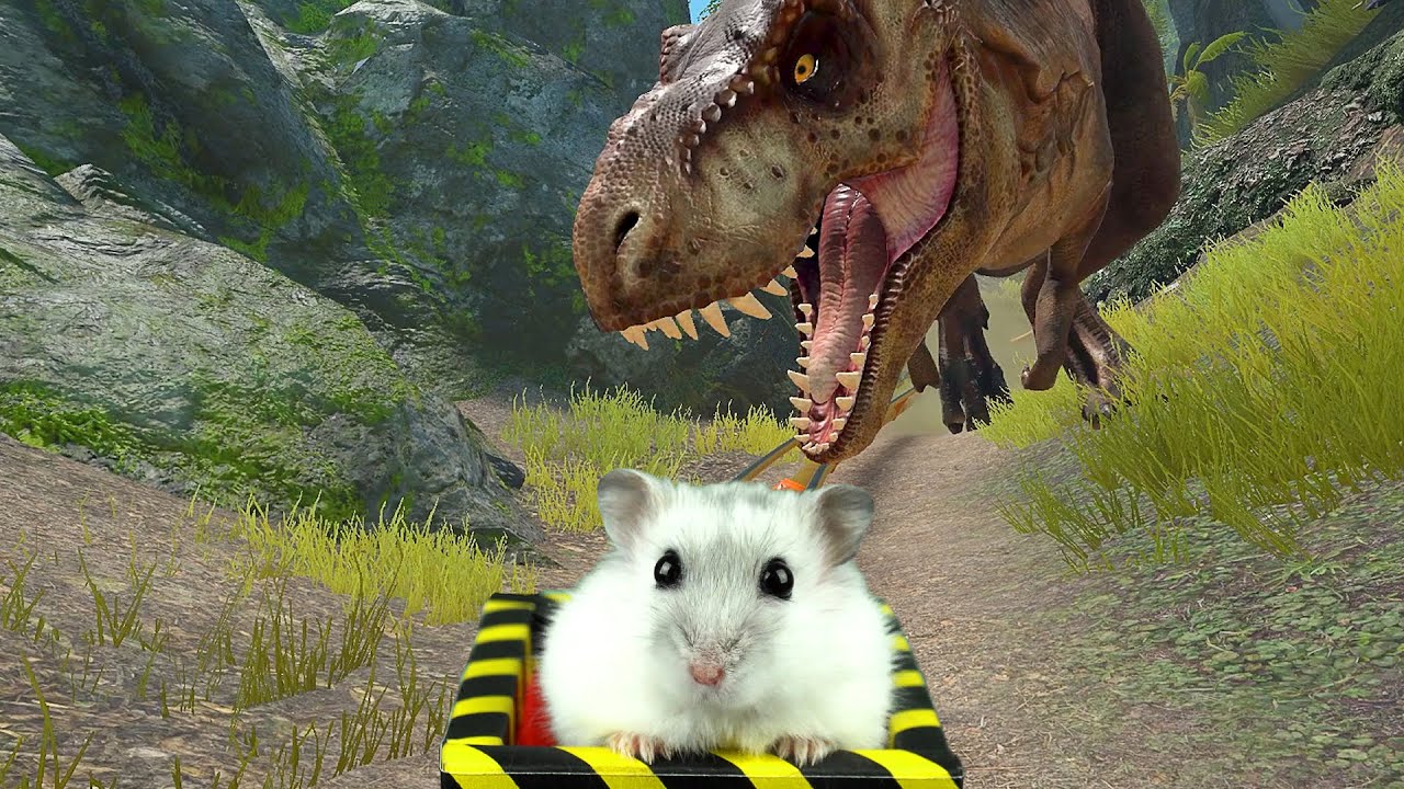Hamster in Forest with Dinosaurs on Roller Coaster + Bonus Maze