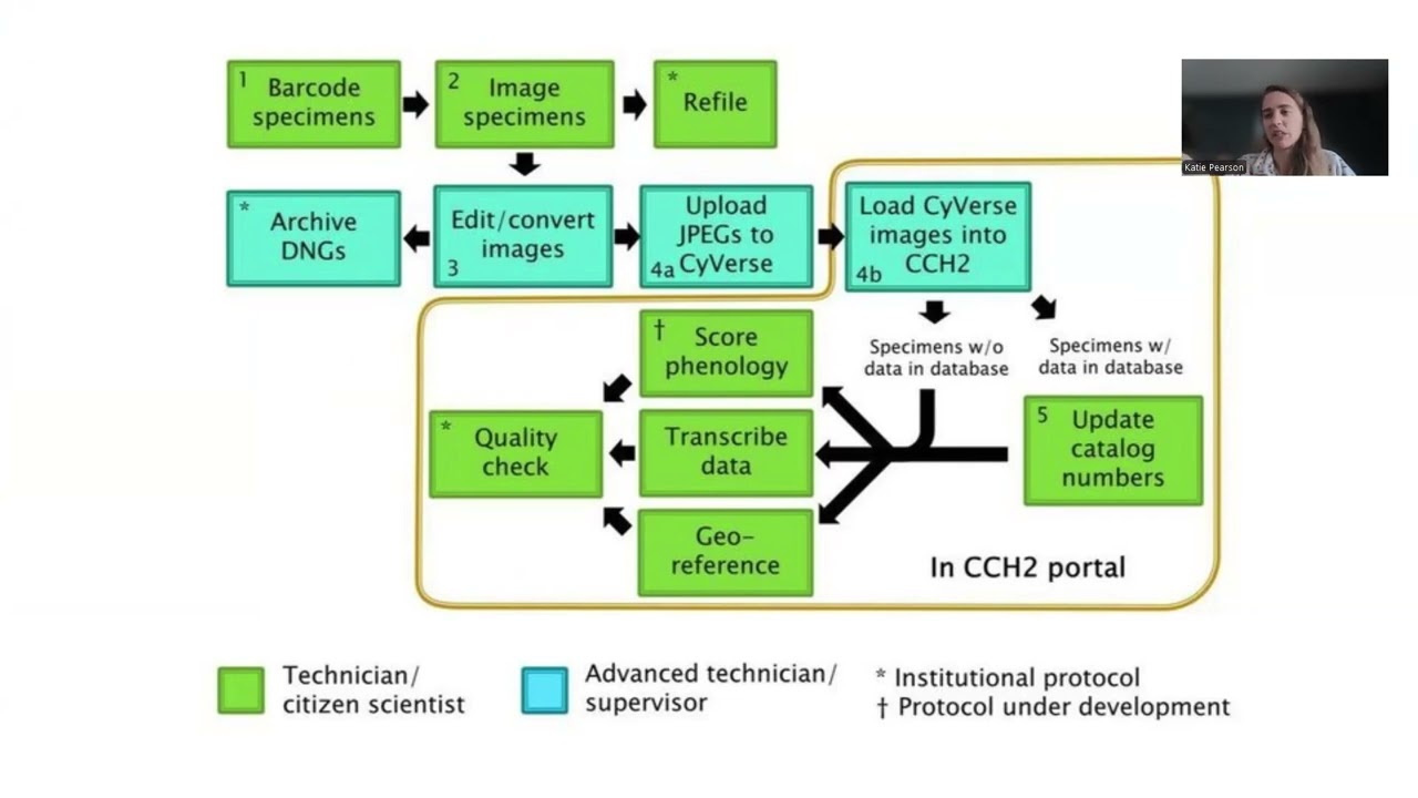 Digitization Workflows in Symbiota: the California Phenology Network