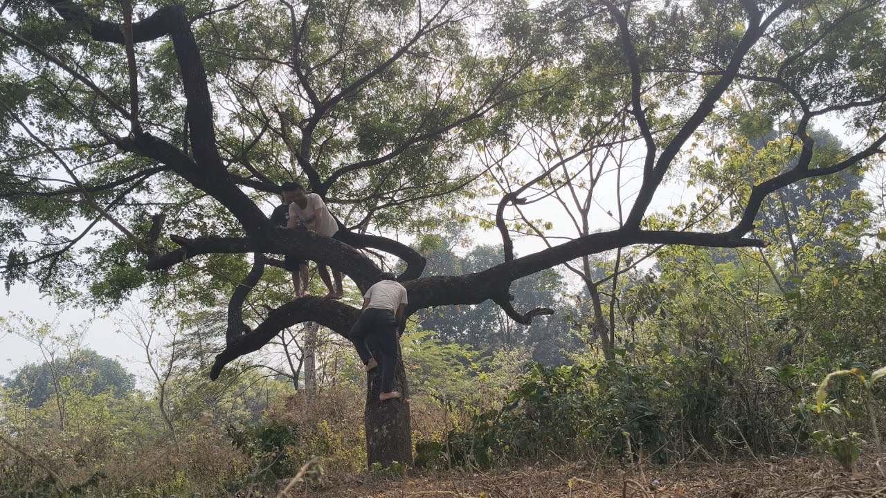 Exploring bhuttabari again (12/02/26)