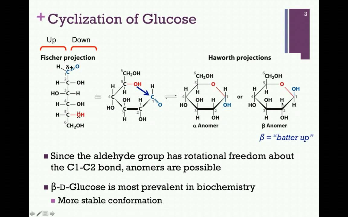 075-Cyclization of Sugars