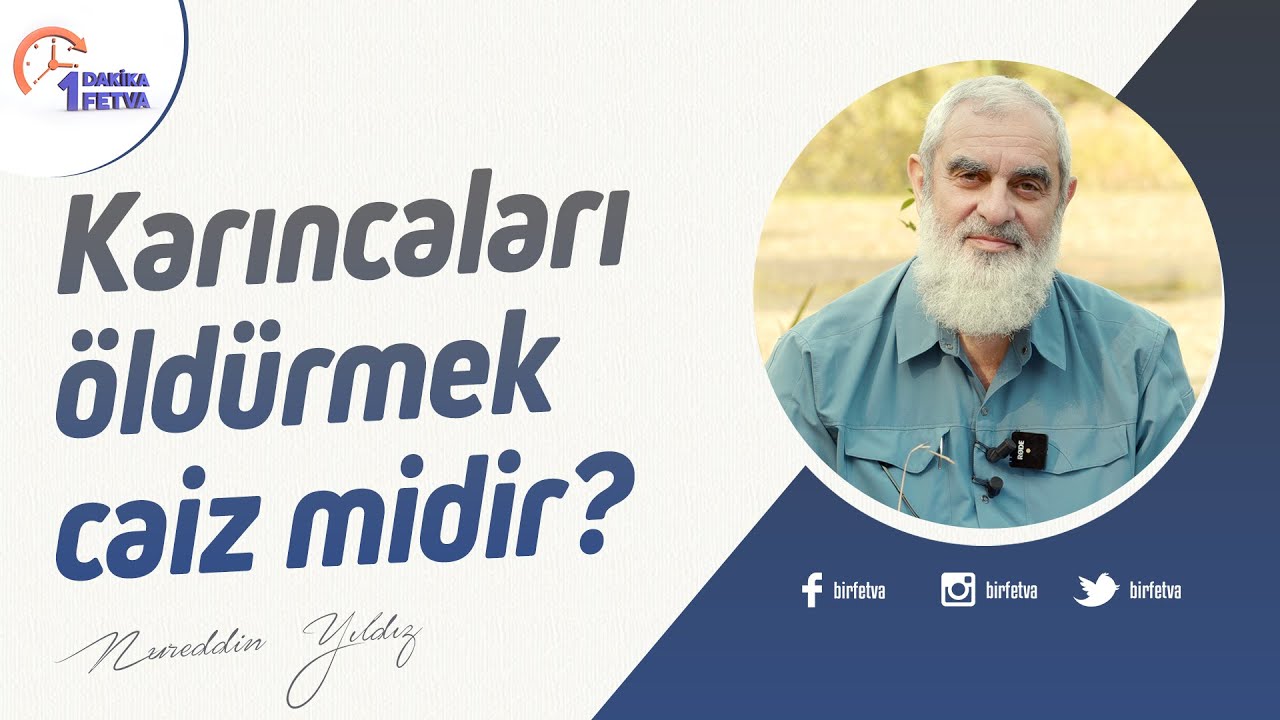 Karıncaları öldürmek caiz midir? | [Birfetva-Nureddin Yıldız] | 4K