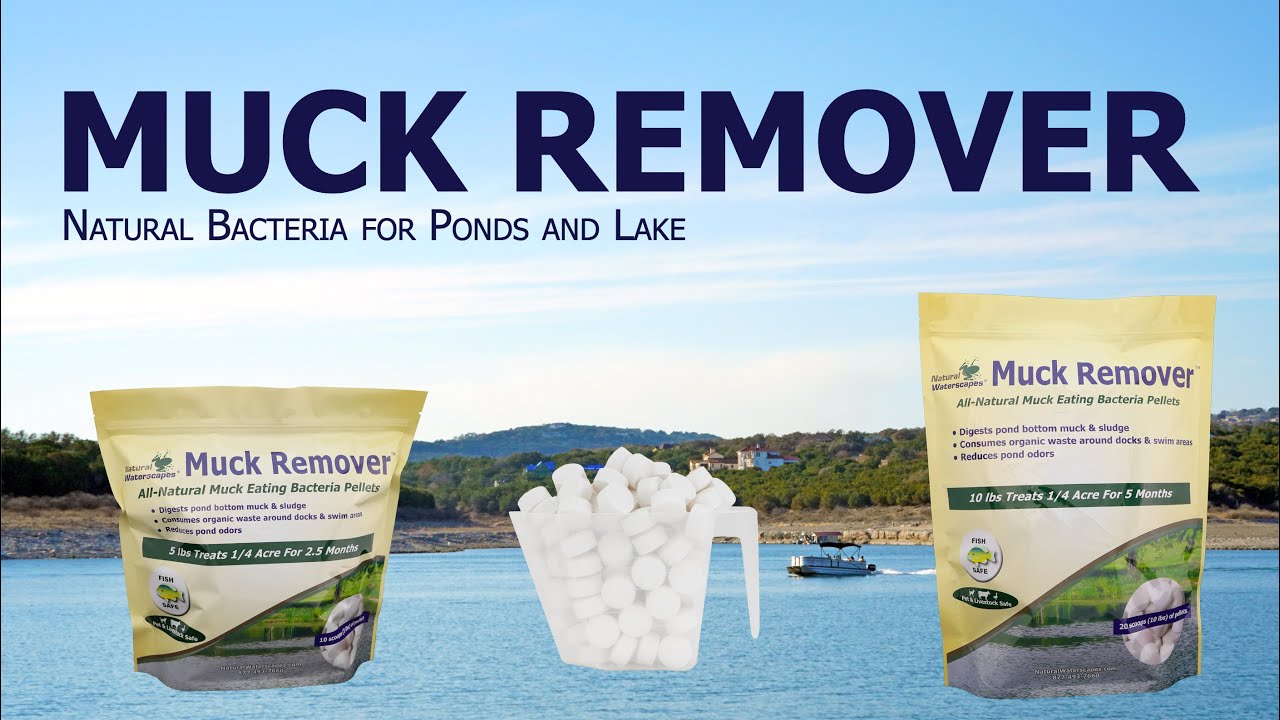 Muck Remover - Natural Bacteria Treatments for your Pond and Lake
