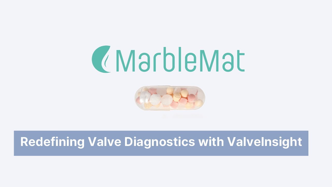 MarbleMat - Redefining Valve Diagnostics with ValveInsight (EN)
