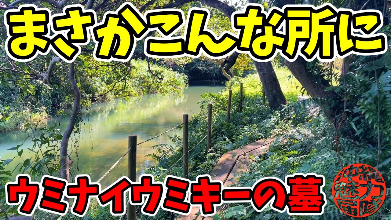 【ウミナイウミキー】まさかこんな所に探していたお墓が・・・！ちょうちょの谷・長田川沿い・ウミナイヒ墓・ウミキー墓・国道58号線！