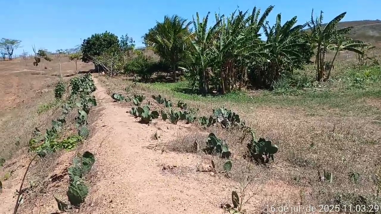 Sítio campo comprido cuité pb 