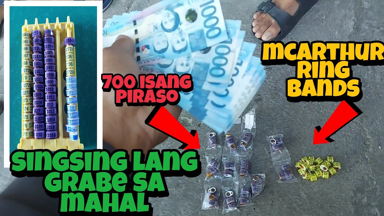 BUMILI TAYO NG CLUB RING OR SINGSING NG KALAPATI SA KARERA! NAKAKALULA PALA ANG GASTOS NATIN!