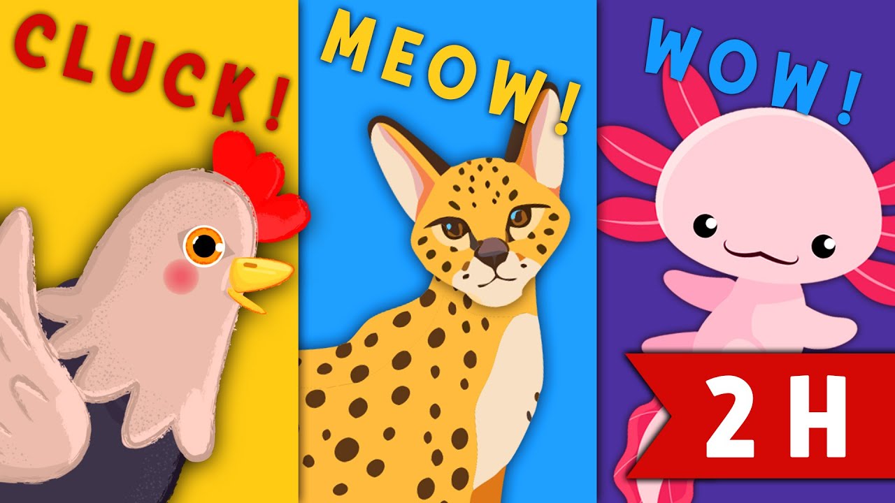 Mega Animal Shadow Guessing Game for Kids! 🌍 2-Hour Compilation of Wild Animals, Pets & More 🐱🦖🐠🐶