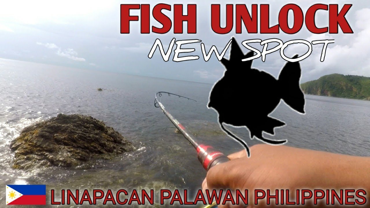 EP. 24 BAGONG SPOT | FISH UNLOCKED | Medium light |Palawan fishing