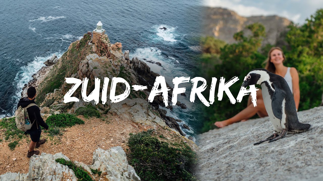 Dagtrip naar Cape Point, Kaap de Goede Hoop & Bolders Beach | Cinematische Zuid-Afrika Reisvlog