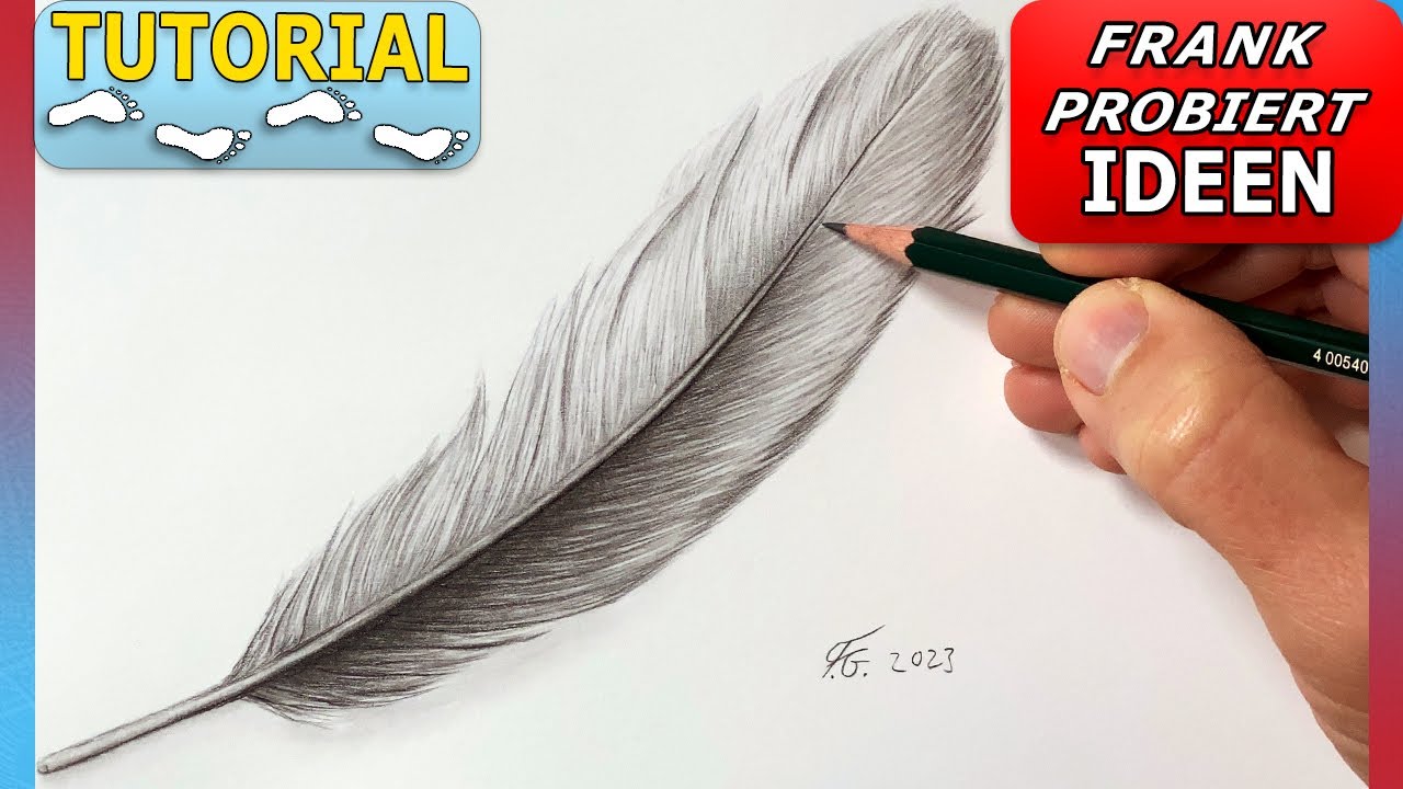 Feder zeichnen mit Bleistiften: Leichte Schritt-f&uuml;r-Schritt Anleitung f&uuml;r Anf&auml;nger (Tutorial)