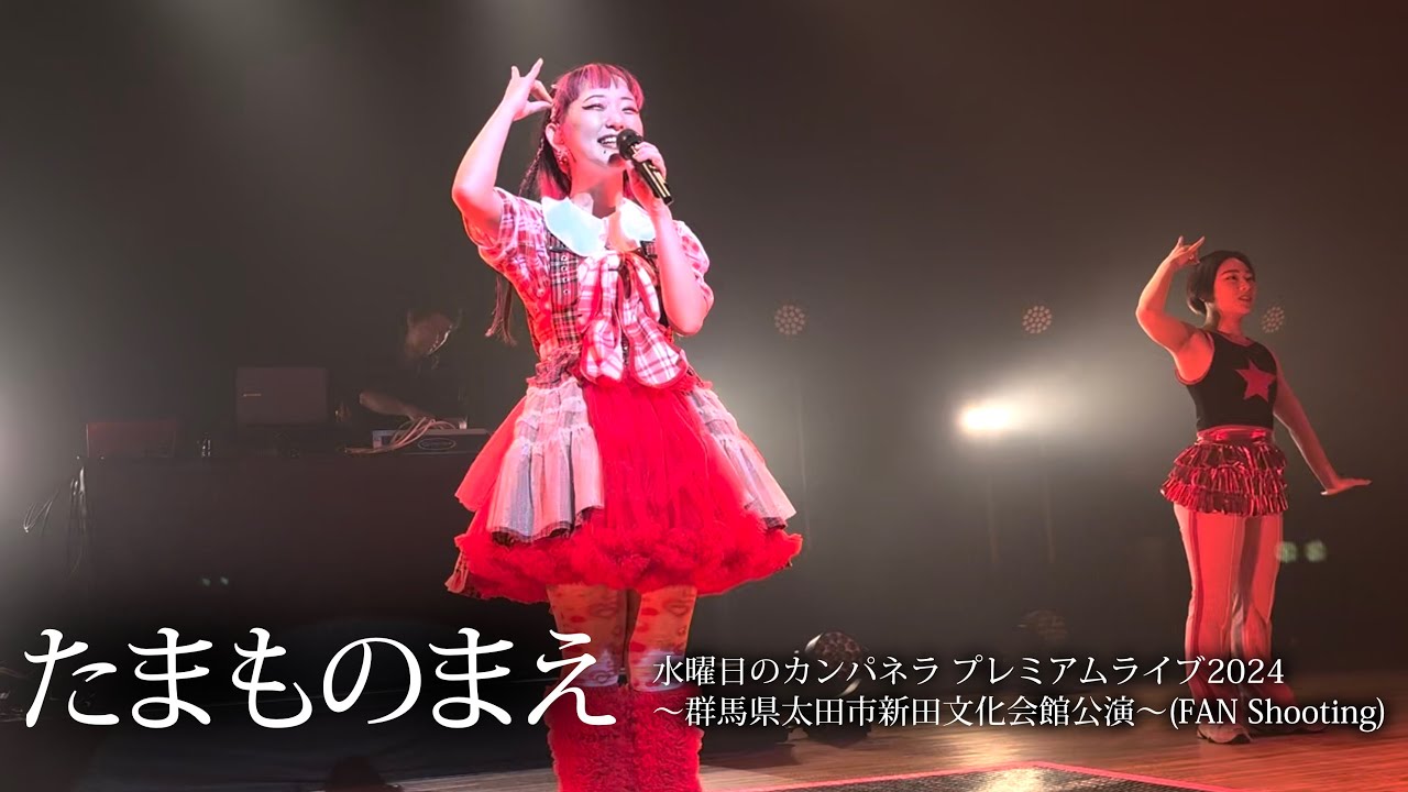 【たまものまえ】水曜日のカンパネラ プレミアムライブ2024(FAN Shooting)