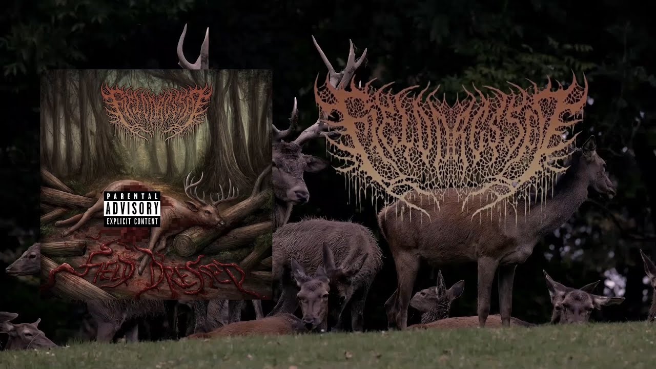 FIELD DRESSED - SELF-TITLED [OFFICIAL EP STREAM] (2023) SW EXCLUSIVE