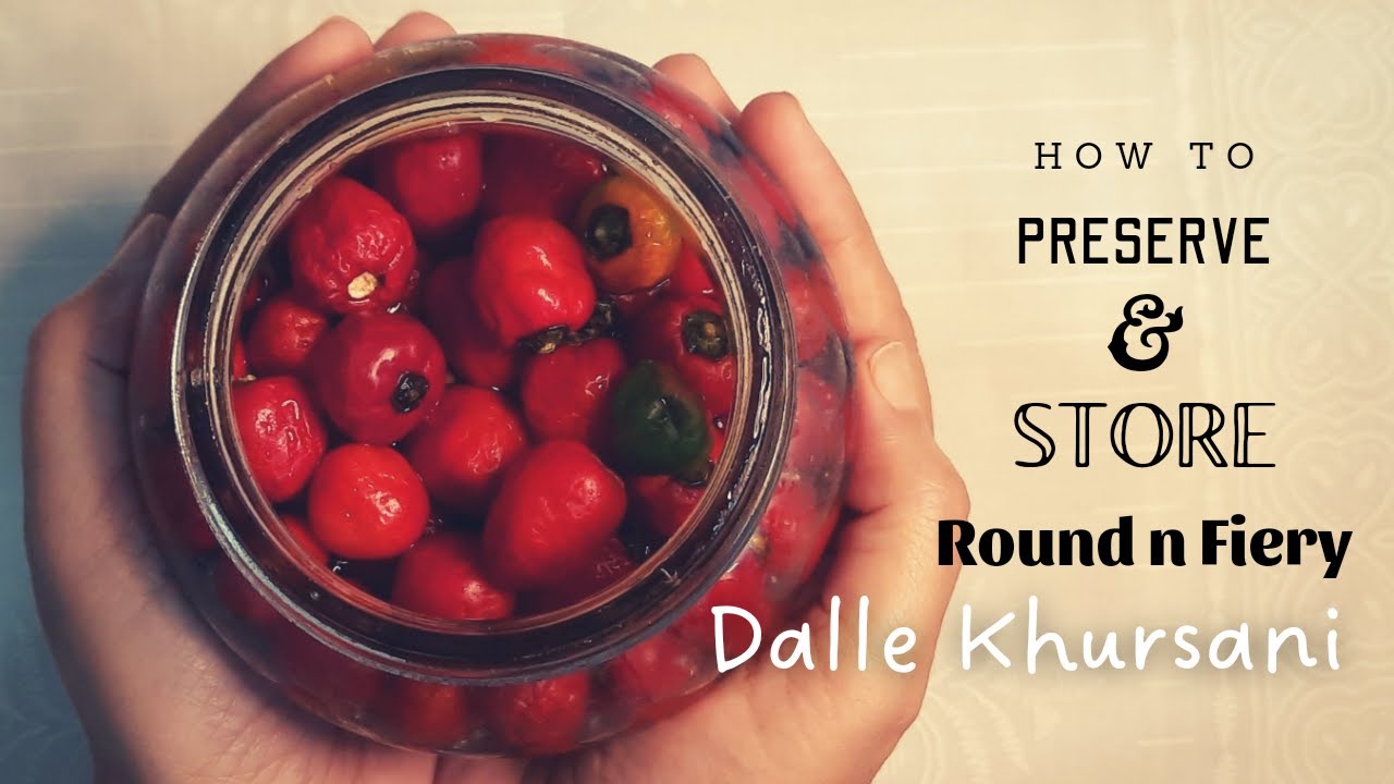 How to Preserve and Store Dalle Khursani | Chillie Pickle | Preserving Chillies for a long time