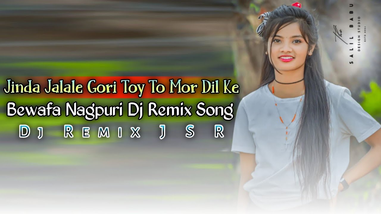 Jinda Jalale Gori Toy Mor Dil Ke !!New Nagpuri Dj Remix Song 2024 ka || New Nagpuri Song !!