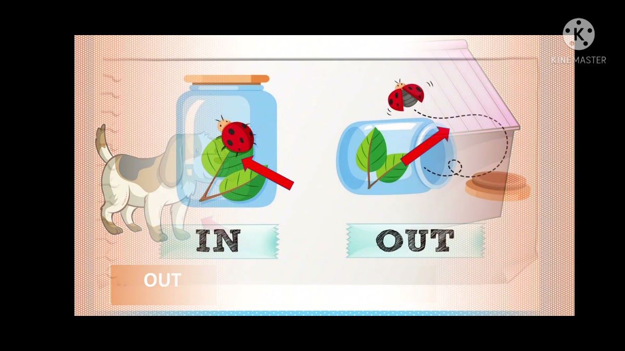 Concept In & Out