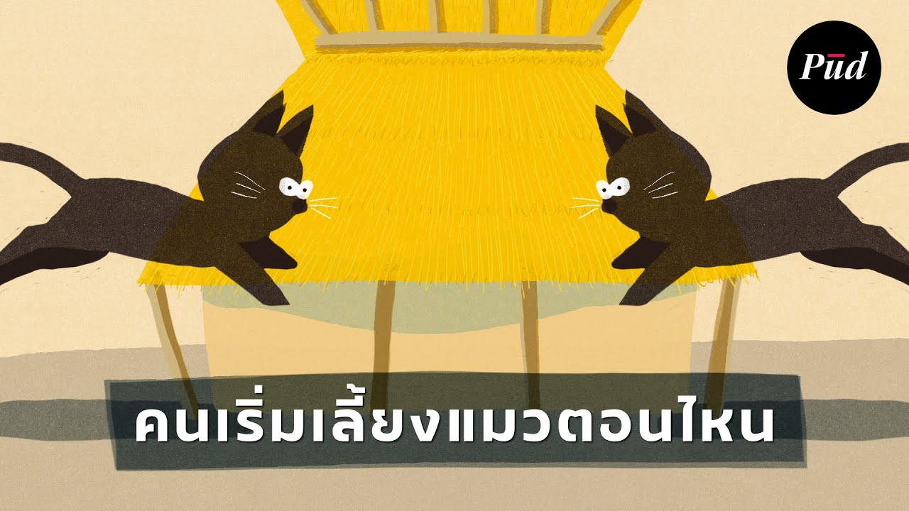 คนเริ่มเลี้ยงแมวตอนไหน?