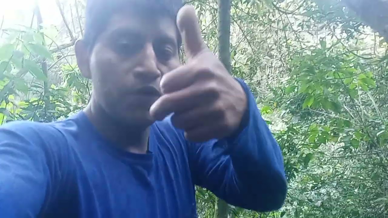 Buscando leña 