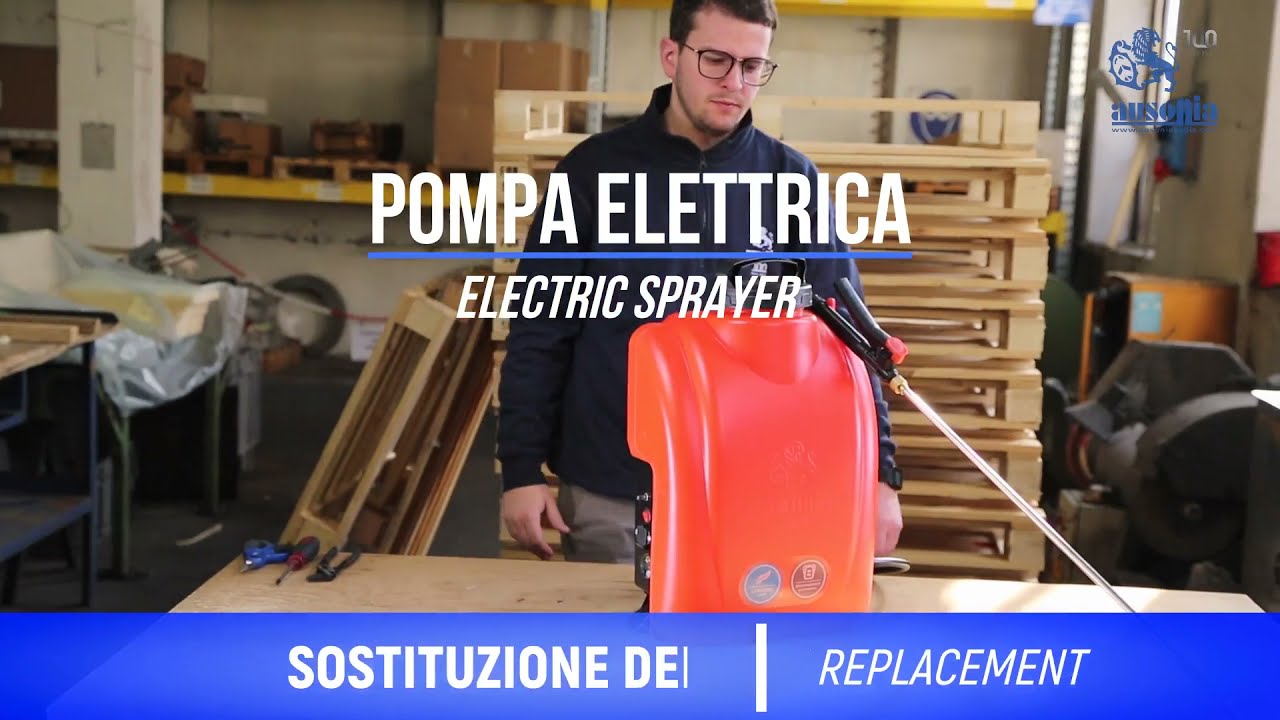 Manutenzione motore pompe LITIO_engine replacement sprayers 2021
