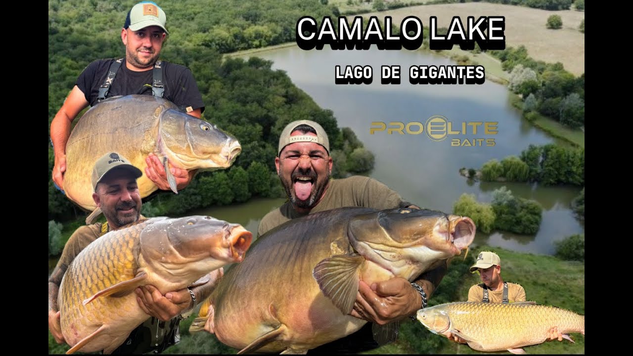 Carpfishing  Camalo  ( Lago de Gigantes )