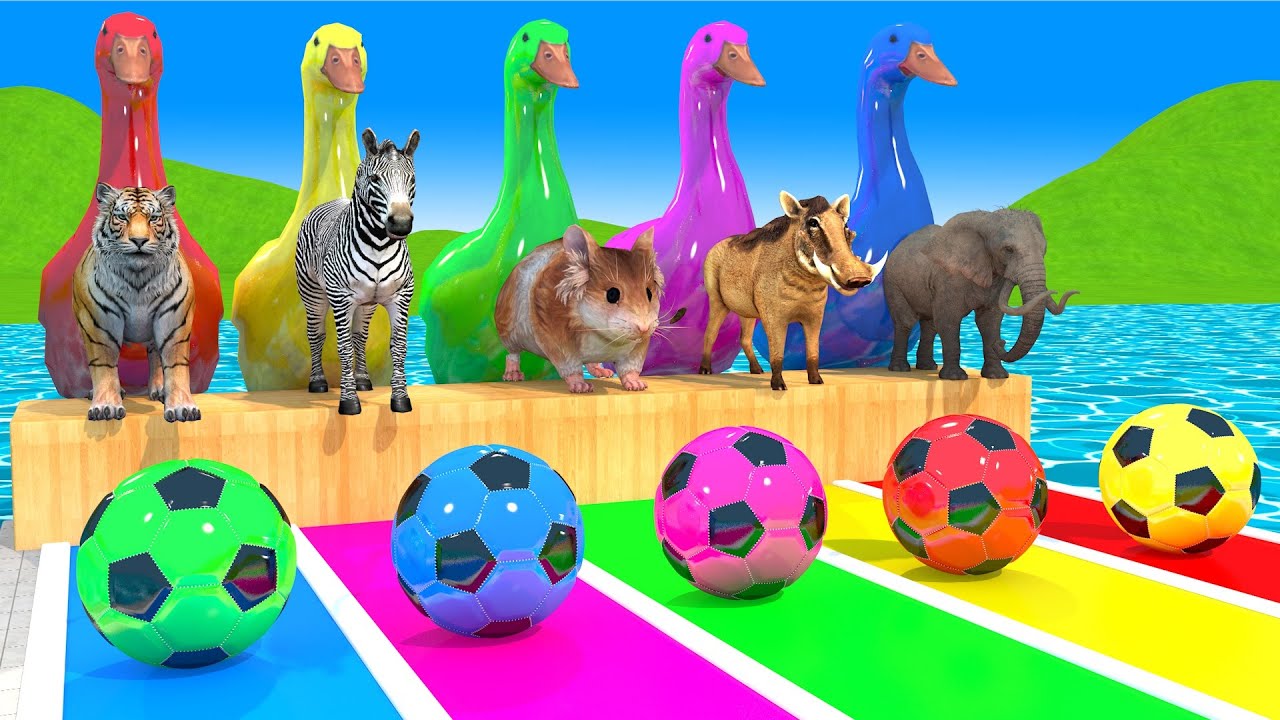 Long Slide Game With Cow Elephant Gorilla Hippopotamus Tiger 3d Animal Game Funny 3d Animals